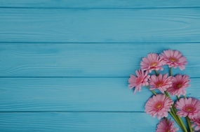 唯美粉色雏菊木纹背景图片素材